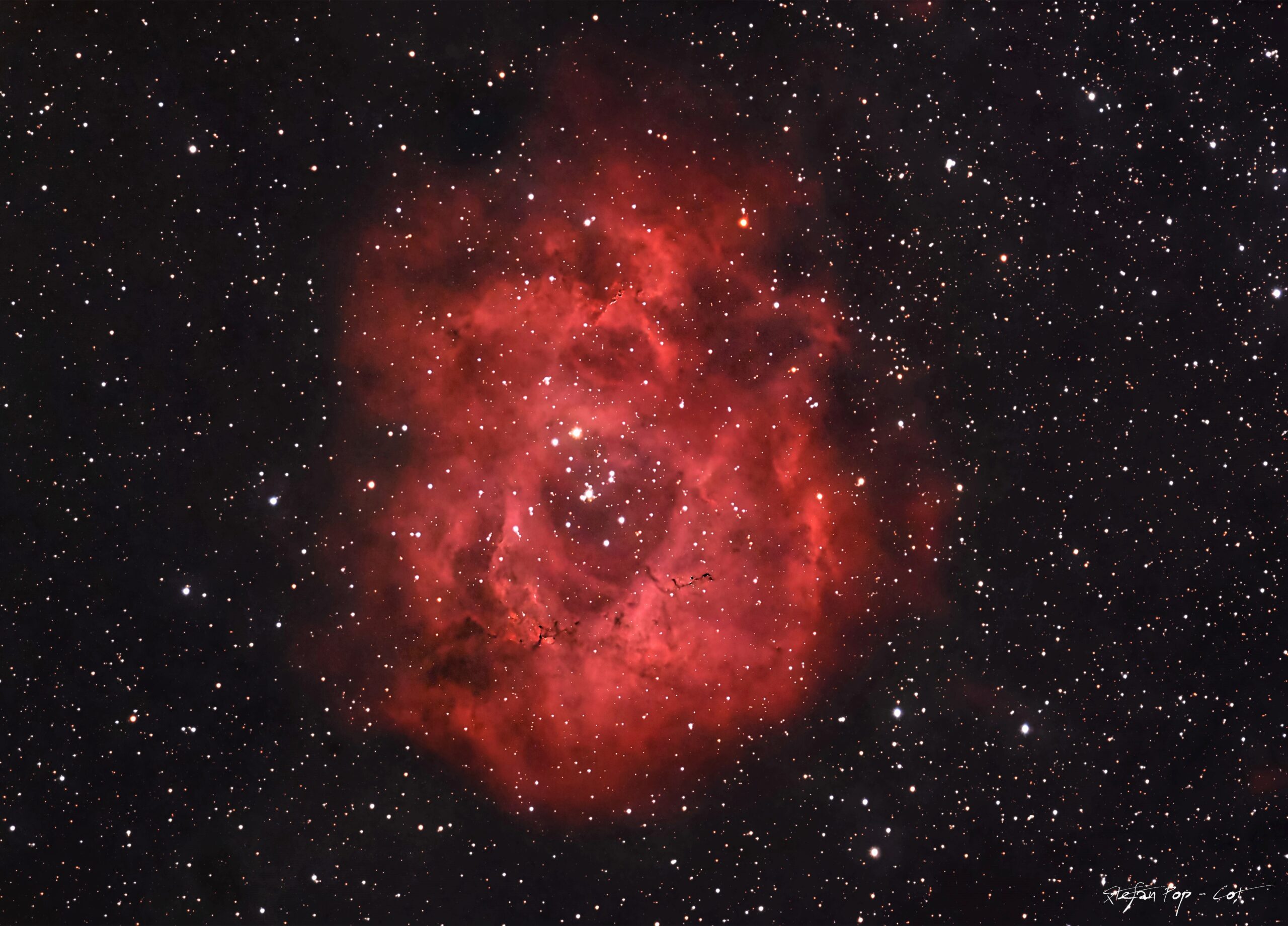Nebuloasa Rosette